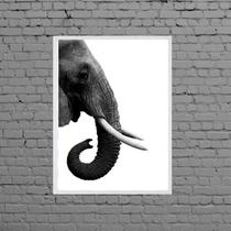 Quadro Perfil Elefante Fundo Branco 45x34cm - com vidro Quadro Perfil Elefante Fundo Branco 45x34cm - com vidro
