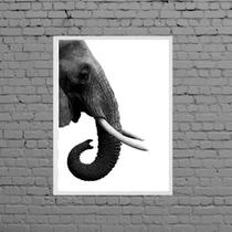 Quadro Perfil Elefante Fundo Branco Moldura Branca 24X18Cm