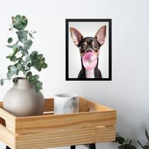 Quadro Pinscher Bubble Gum 45X34Cm - Com Vidro Quadro Pinscher Bubble Gum 45X34Cm - Com Vidro