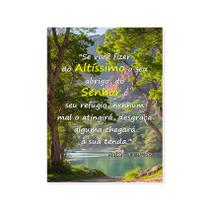 Quadro Placa Decorativa Salmo 91 Religioso Bíblia - Moldura C/Vidro