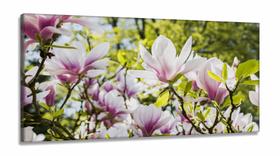 Quadro Planta Flor Magnólia Natureza Artístico em Tecido Canvas 130x60