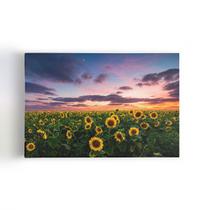 Quadro Plantação de Girassol Céu e Nuvens Canvas 60x40cm Quadro Plantação de Girassol Céu e Nuvens Canvas 60x40cm