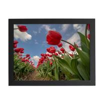 Quadro Plantação Tulipas Vermelhas Moldura Preta 60X40Cm