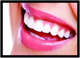 Quadro Profissão Dentista Odontologia Dentes Com Moldura G03