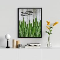 Quadro Que O Mau Olhado Dos Outros Não Olhe Pra Gente 45x34cm - com vidro