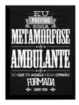 Quadro Raul Seixas Frase Trecho Musica Metamorfose Ambulante