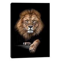 Quadro retangular decorativo - leão luxo tamanho: 80x60 cm Quadro retangular decorativo - leão luxo tamanho: 80x60 cm