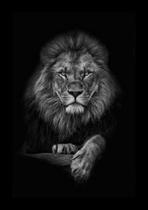 Quadro Retro decorativo de leão 30x40