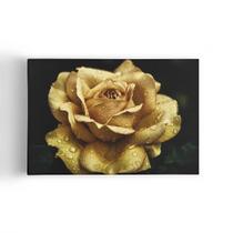 Quadro Rosa Amarela Sépia com Orvalho Flor Canvas 60x40cm Quadro Rosa Amarela Sépia com Orvalho Flor Canvas 60x40cm