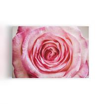 Quadro Rosa com Orvalhos Fotografia Canvas 60x40cm Quadro Rosa com Orvalhos Fotografia Canvas 60x40cm