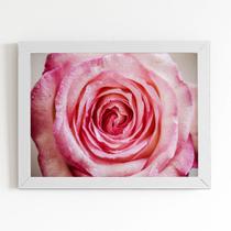 Quadro Rosa com Orvalhos Fotografia Moldura Branca 60x40cm Quadro Rosa com Orvalhos Fotografia Moldura Branca 60x40cm