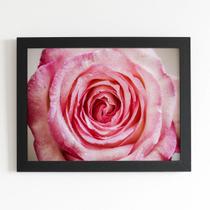 Quadro Rosa com Orvalhos Fotografia Moldura Preta 60x40cm Quadro Rosa com Orvalhos Fotografia Moldura Preta 60x40cm