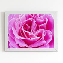 Quadro Rosa Flor Fotografia em Foco Moldura Branca 60x40cm