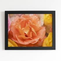 Quadro Rosa Laranja Fotografia Moldura Preta 60x40cm