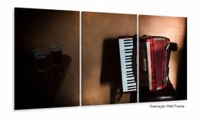 Quadro Sanfona Acordeon E Cerveja Vintage Decorativo 3 peças 120x60