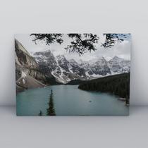 Quadro sem moldura Neve 37