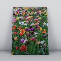 Quadro sem moldura Primavera 03 Quadro sem moldura Primavera 03