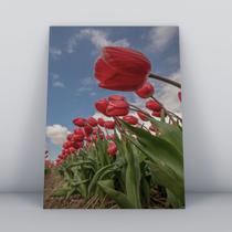 Quadro sem moldura Primavera 17 Quadro sem moldura Primavera 17
