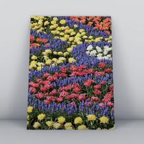 Quadro sem moldura Primavera 22 Quadro sem moldura Primavera 22