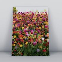 Quadro sem moldura Primavera 27 Quadro sem moldura Primavera 27
