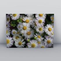 Quadro sem moldura Primavera 34 Quadro sem moldura Primavera 34