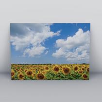 Quadro sem moldura Primavera 42 Quadro sem moldura Primavera 42