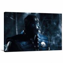 Quadro Sub Zero decorativo Mortal Kombat - Tela em Tecido