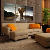 Quadro Tela Canvas Animais Elefante Salas Decorações Interior Quadro Tela Canvas Animais Elefante Salas Decorações Interior
