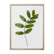 Quadro tela com impressao de folha verde Quadro tela com impressao de folha verde