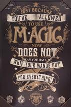 Quadro Tematico de Harry Potter - Frase