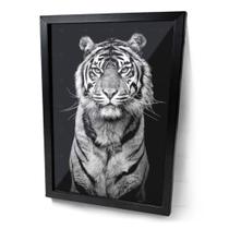 Quadro Tigre imponente Preto e Branco Moldura e Vidro Preta