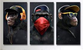 Quadro Três Macacos - Gangue Dos Macacos 3 Peças