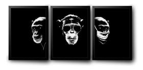 Quadro Trio o Três Macacos Sábios Animais"