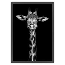 Quadro Tropical Artes 50x70cm Girafa Preto