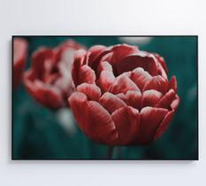 Quadro tulipa vermelha