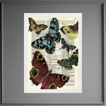 Quadro Vintage - Festa Das Borboletas 24x18cm - com vidro Quadro Vintage - Festa Das Borboletas 24x18cm - com vidro