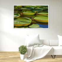 Quadro Vitória Regia Amazônia Quadro Vitória Regia Amazônia