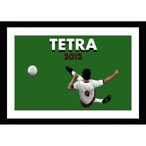 Quadro Voleio pro Tetra