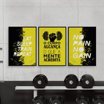 Quadros Academia Musculação Fitness Exercício Funcional 3 Peças 28x40cm