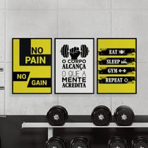 Quadros Academia Musculação Treino Gym Corpo 3 Peças 28x40cm