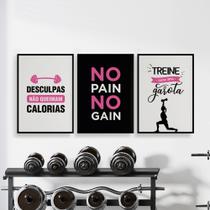 Quadros Academia Treino Fitness Exercício Funcional Kit 3 Peças 28x40cm