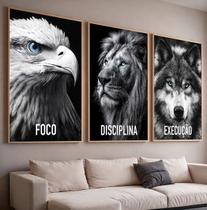 Quadros com Moldura e Acrilico Cristal Foco Disciplina Execucao Kit 3 Quadros para Sala, Quarto ou Escritório