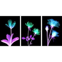 Quadros De Flor Raio_X Flower Colorido 3 Telas Quadros De Flor Raio_X Flower Colorido 3 Telas
