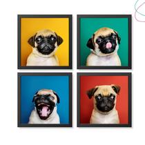 Quadros Decoração de cachorro Pug Divertido com moldura