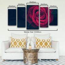 quadros decorativo 5 peças mod arara realista quadros decorativo 5 peças mod arara realista