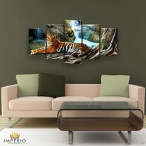 quadros decorativo 5 peças mod Tigre selva