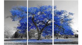 Quadros Decorativos 3 Peças Ipê Azul Arvore