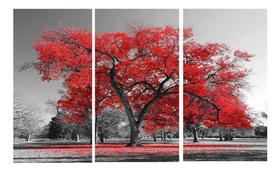 Quadros Decorativos 3 Peças Ipê Vermelho Arvore
