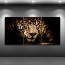 Quadros Decorativos 3 Peças Onça Pintada Amazonia