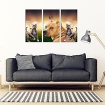 Quadros Decorativos 3 Peças Pitbull Cão Cachorro